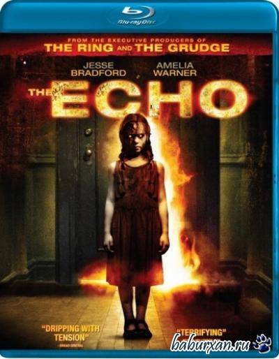 Эхо / The Echo (2008) HDRip