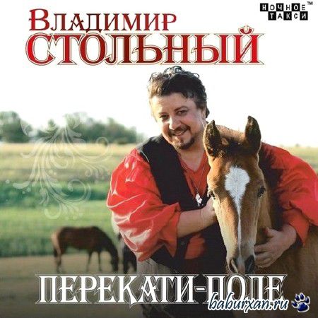 Владимир Стольный - Перекати-поле (2013)