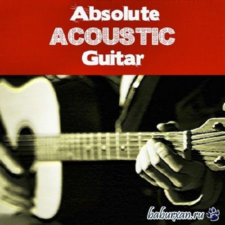 Absolute Acoustic Guitar (2013)