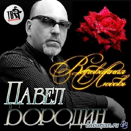 Павел Бородин - Ворованная любовь (2013)