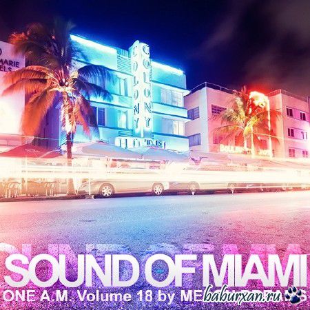 Sound Of Miami - One A.M. Volume 18 (2013)