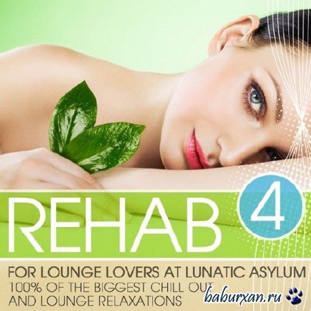 Rehab Vol.4 (2013)