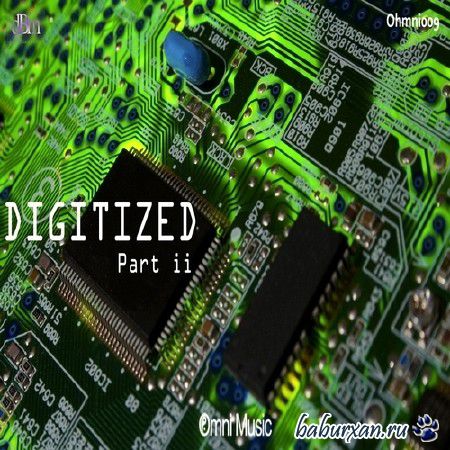 Digitized Part 2 (2013)