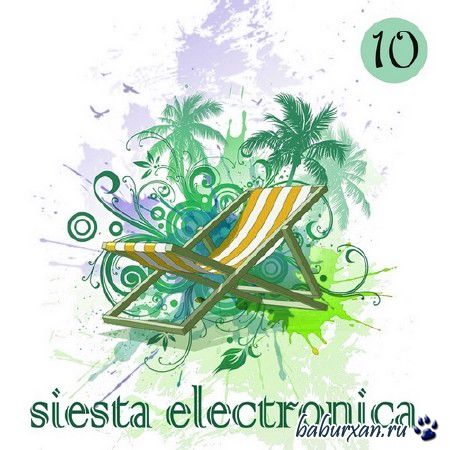 Siesta Electronica 10 (2014)