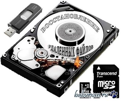 Raise Data Recovery for FAT / NTFS 5.12.1 (2014) RUS