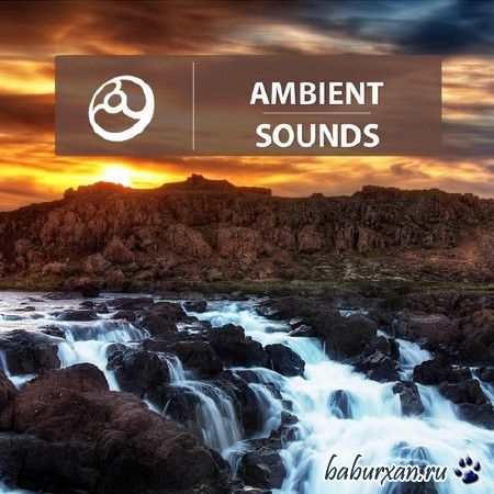 Ambient Sounds (2014)
