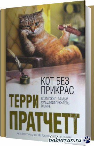 Пратчетт Терри - Кот без дураков (Аудиокнига)