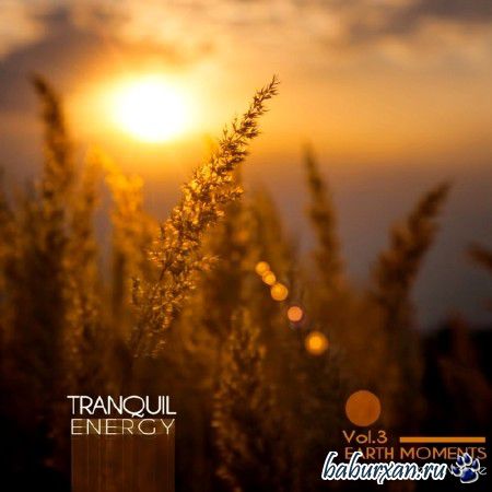 Tranquil Energy Vol.3 Earth Moments (2014)