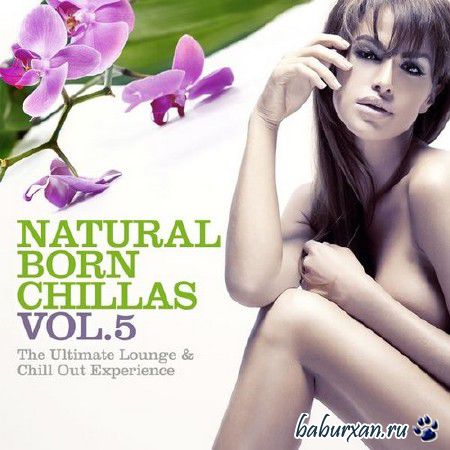 Natural Born Chillas Vol.5 (2014)