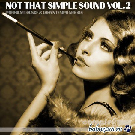 Not That Simple Sound Vol.2 (2014)