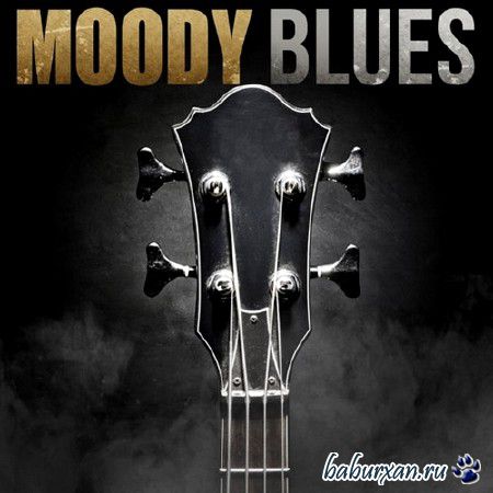 Moody Blues (2014)