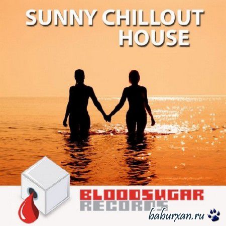 Sunny Chillout House (2014)