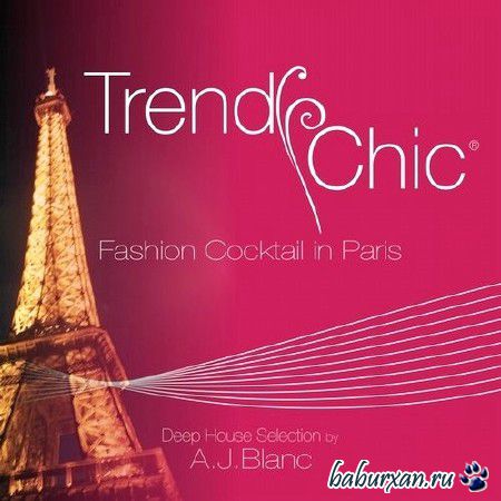 Trendy Chic: Fashion Cocktail in Paris (2014)