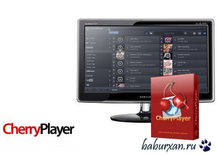 CherryPlayer 2.0.9 Portable (2014) RUS