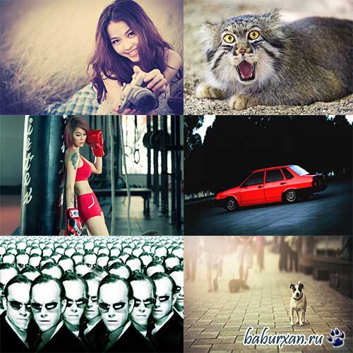 Лучшие обои на рабочий стол vol.44