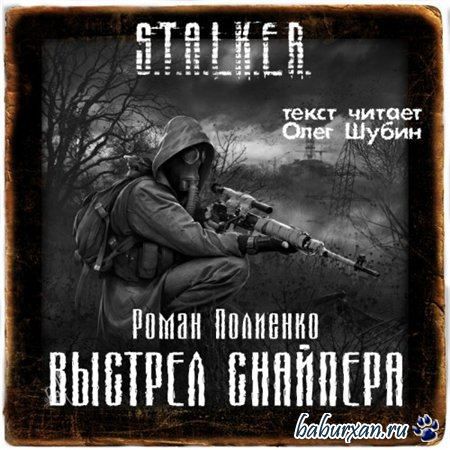 Полиенко Роман - S.T.A.L.K.E.R. Выстрел снайпера (Аудиокнига)
