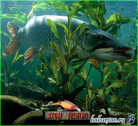 Atom Fishing / Атомная рыбалка *v1.1.15.168* (2015/RUS/ENG/PC)