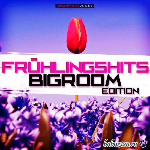 Fruhlingshits: Bigroom Edition (2015)