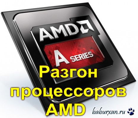   AMD.  (2011) pdf