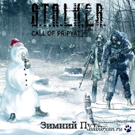 S.T.A.L.K.E.R.:   -   (2016/RUS)