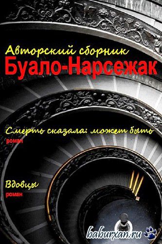 Буало Нарсежак - Вдовцы / Аудиокнига