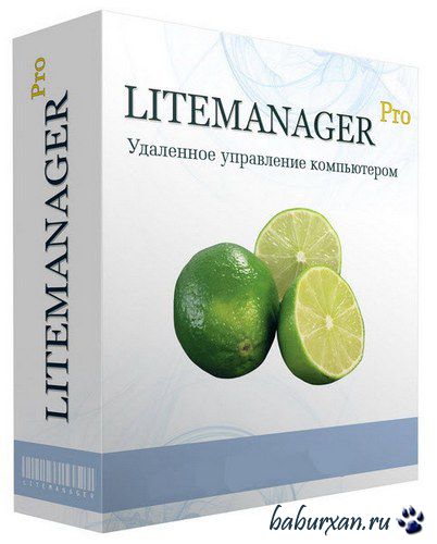LiteManager Pro 4.8.0 (Multi/Rus)